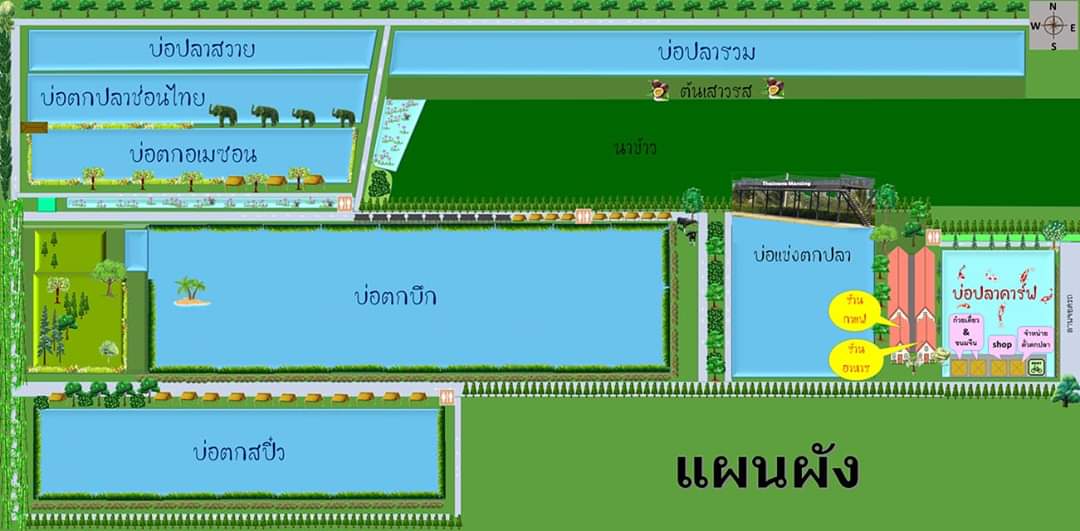 แผนผังทั้งบ่อ