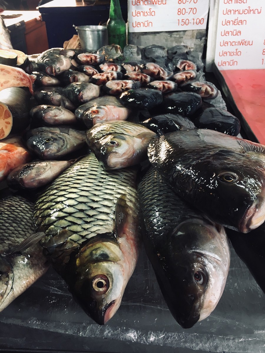                                                                แผงขายปลาในตลาดทองผาภูมิ  มีปลาเขื่อ