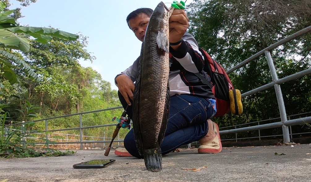 Street Fishing Pattaya //สตรีทฟิชชิ่งในพัทยา 