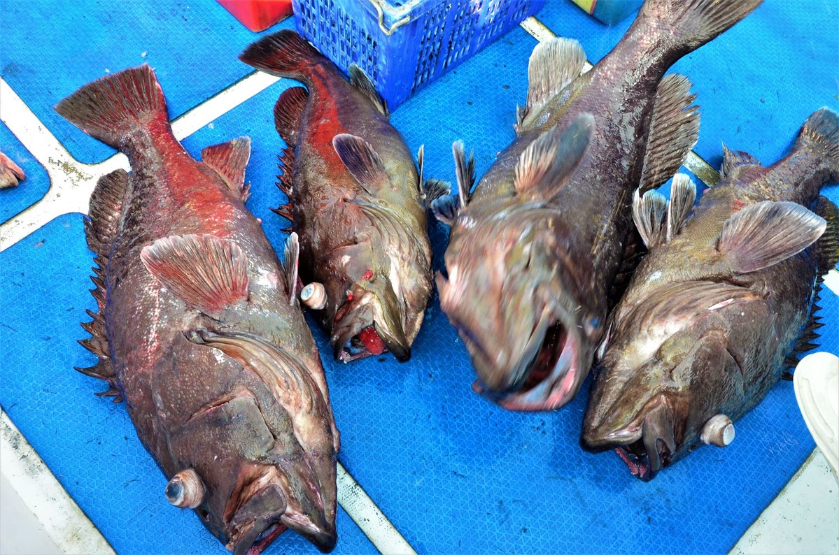 ของดีทะยอยขึ้นเรือมาเรื่อย ๆ ครับ :smi