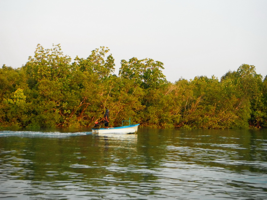 ถึงท่าเรือก็ช่วยกันขนของลงเรือ แล้วออกเรือกันเลยครับ เพราะเริ่มสายแล้ว ผ่านเพื่อนร่วมสายน้ำก็อดไม่ได