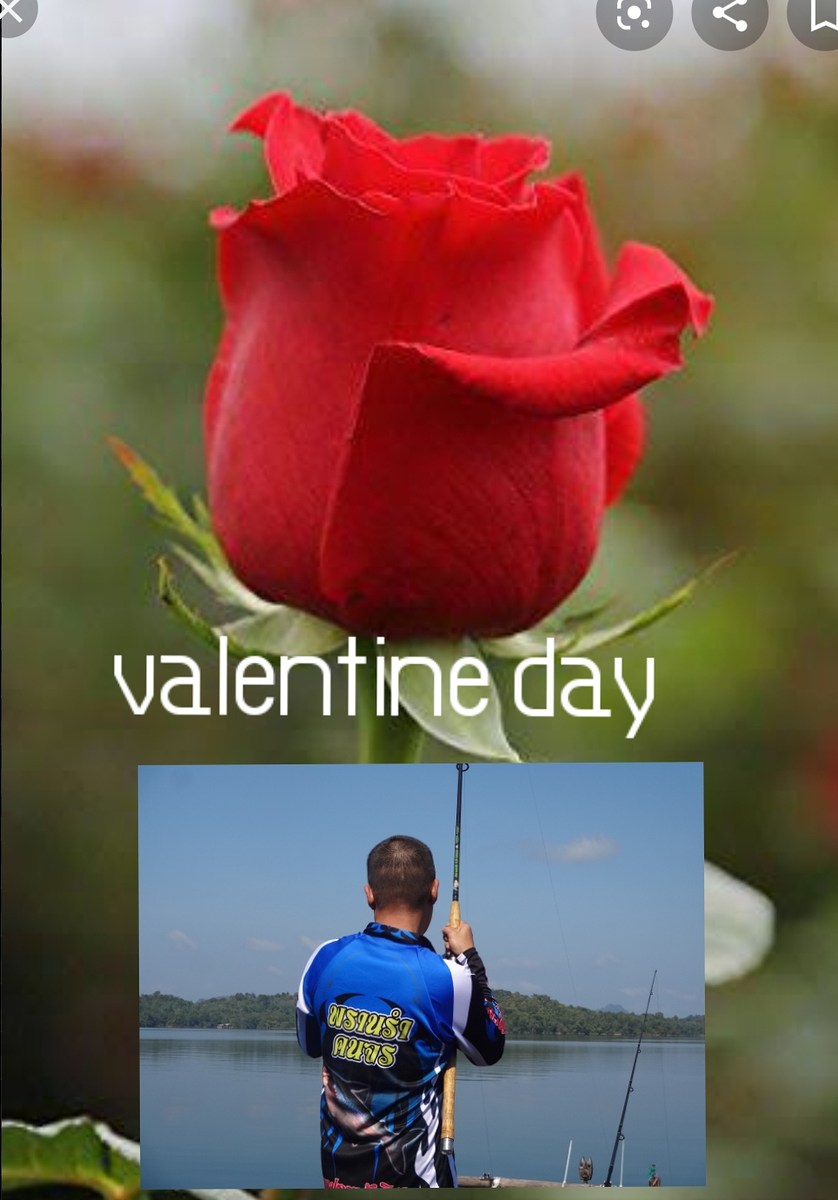 ออ วันนี้ วันแห่งความรัก  สุขสันต์ วัน [b]valentine [/b] [b]น้าๆทุกๆท่าน[/b] :love: :heart: :heart: