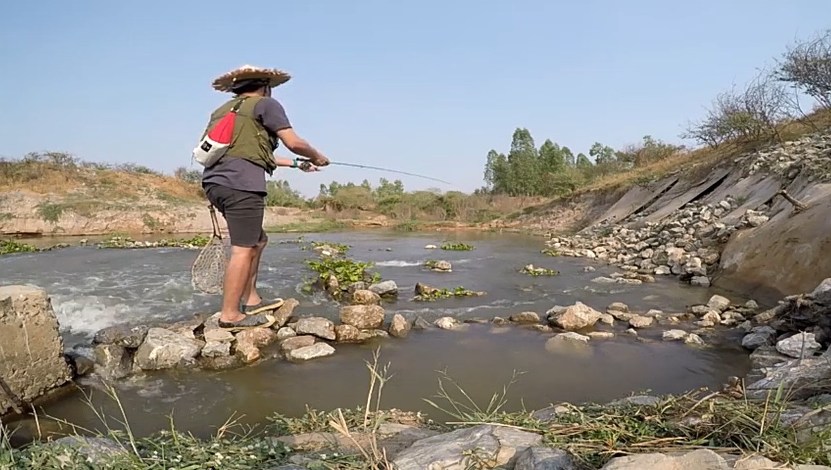 ไปพบแพทย์  Fly Fishing For Climbing Perch.