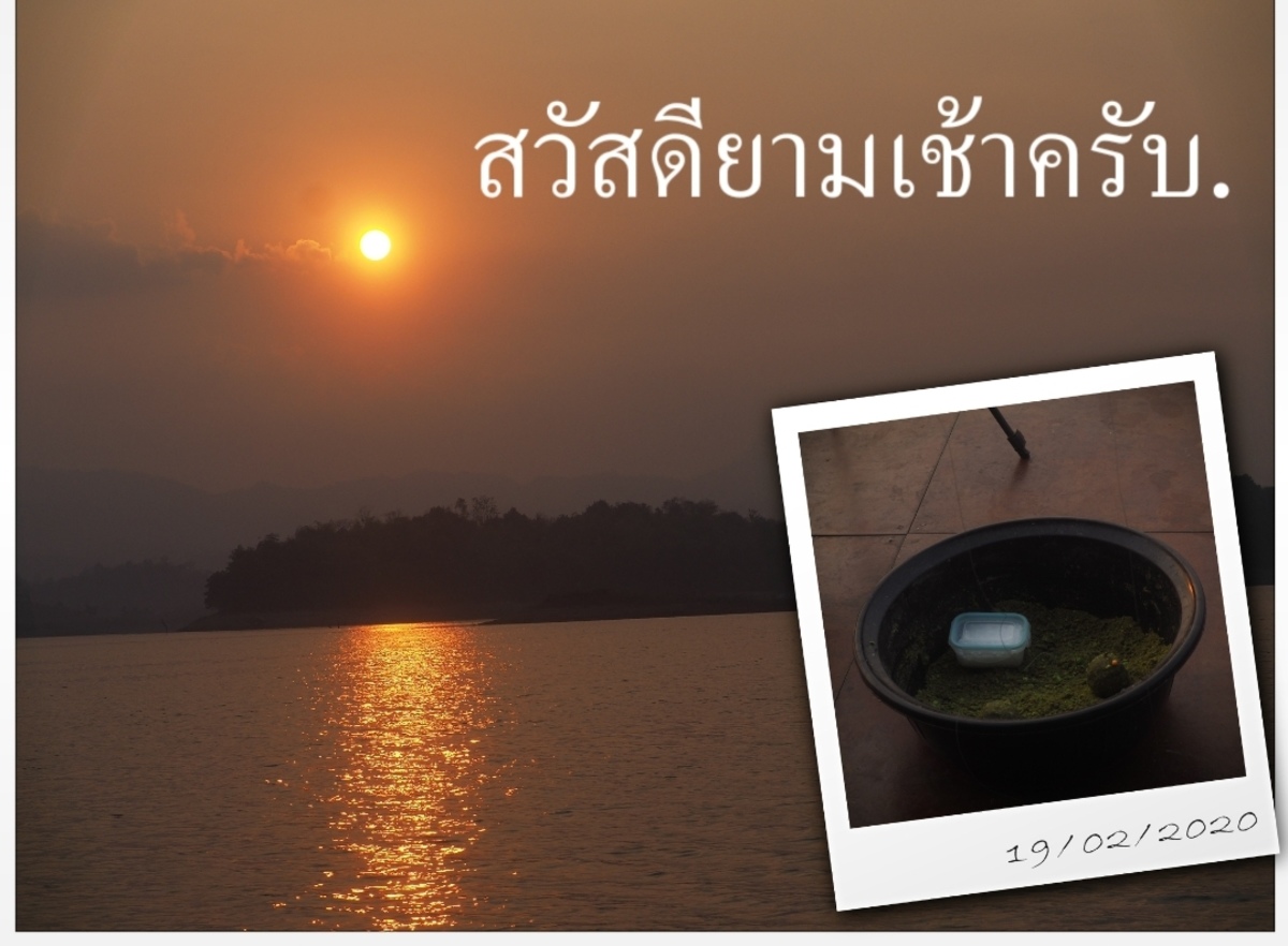  [b]เข้าวันที่ 5 ของการตกปลาของทริปนี้แล้วน่ะครับ วันนี้[/b] :love: