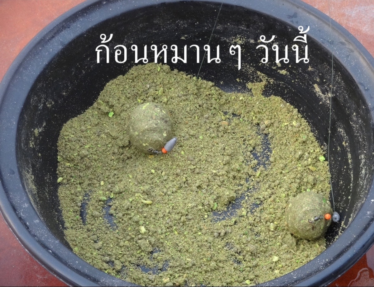  [b]ตีในชุดเบส[/b] :love: