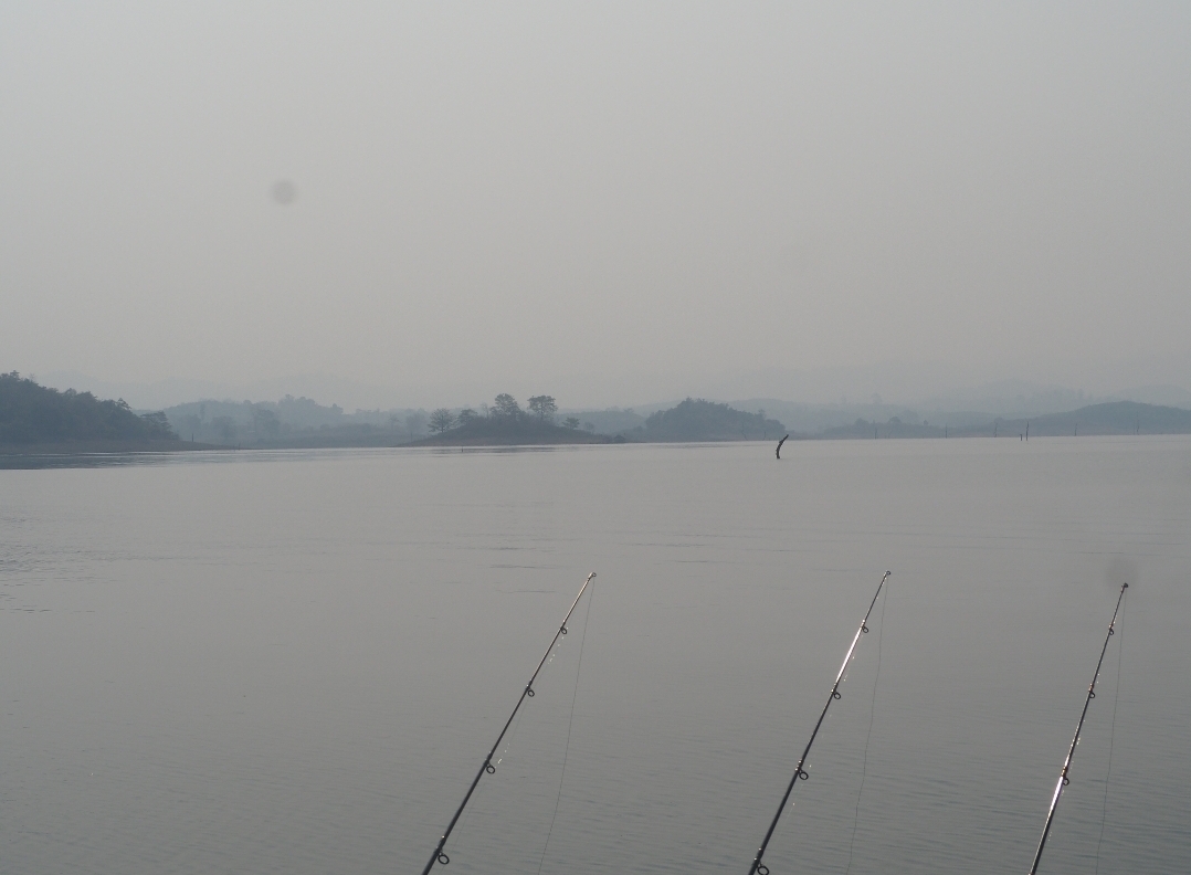  [b]น้าเราในสยามfishing ก็มาตกครับ ตรงข้ามกันเลย หมานครับน้า[/b] :cheer:
