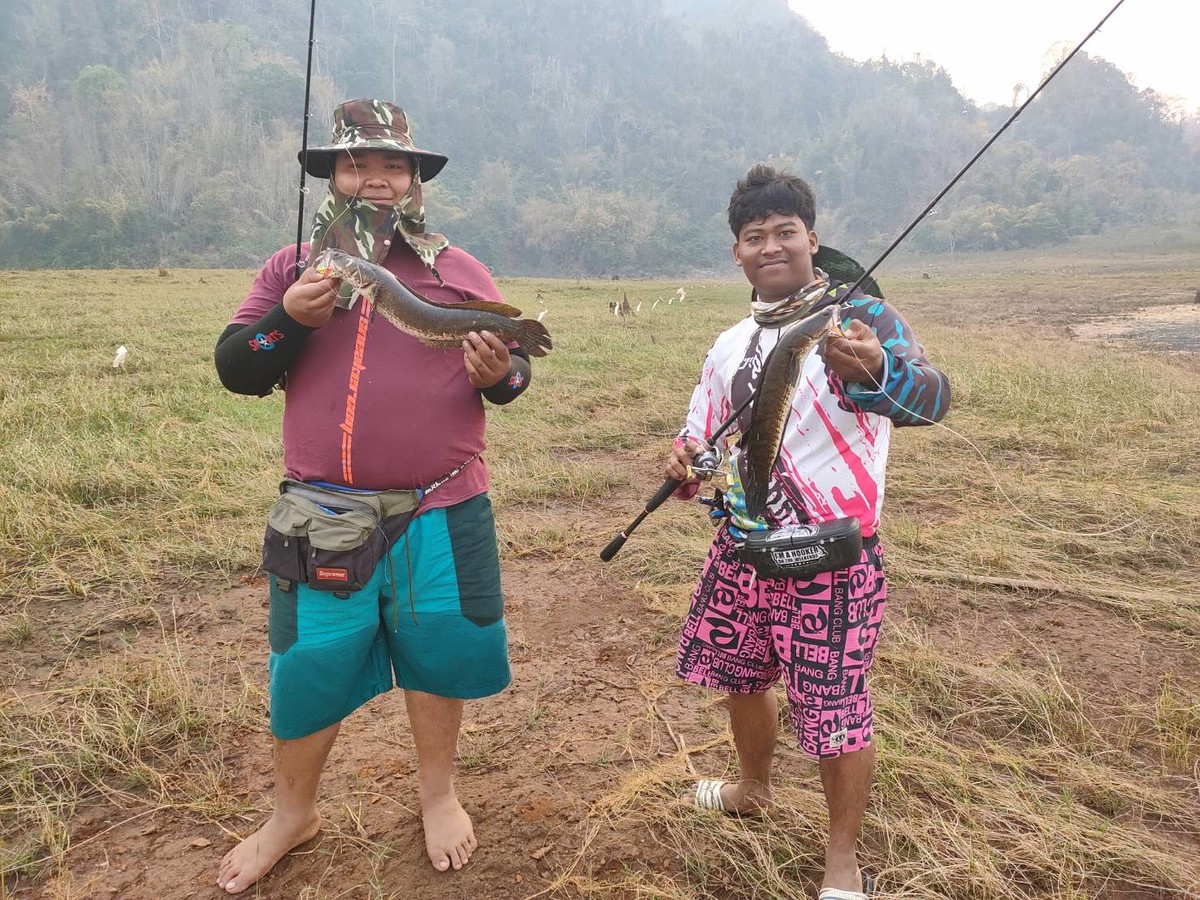 ช่อนบ้างชะโดบ้างกระสูปบ้าง