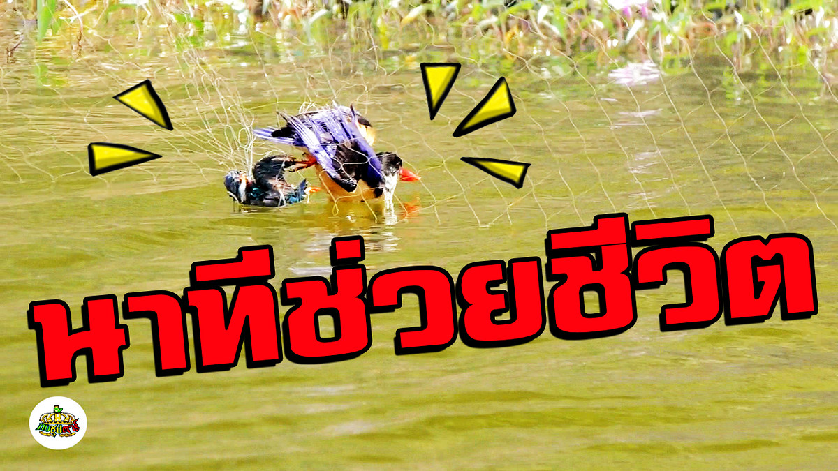 นาทีชีวิต