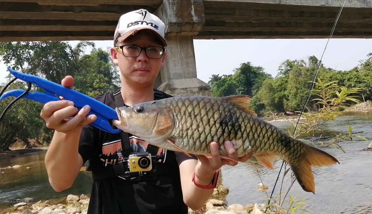 ผ่านแม่น้ำสุริยะน้องกอล์ฟจัดกระสูบสาละวินไซด์50ซม.มาอีกตัวครับ ตัวนี้ถือเป็นโทรฟรี่เลยครับ :cheer: