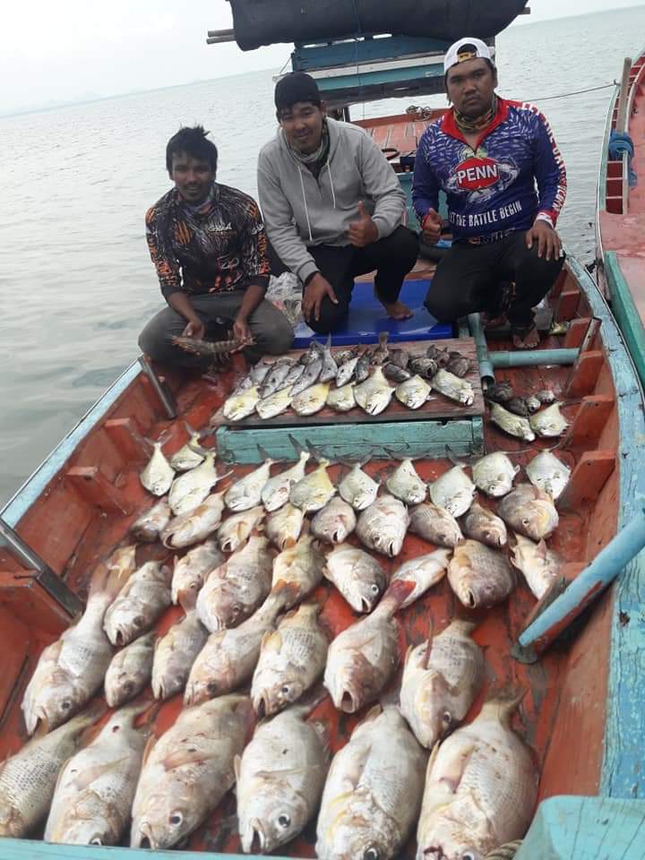 ผลงานรวมเฉพาะปลาอังเกย 32 ตัว 