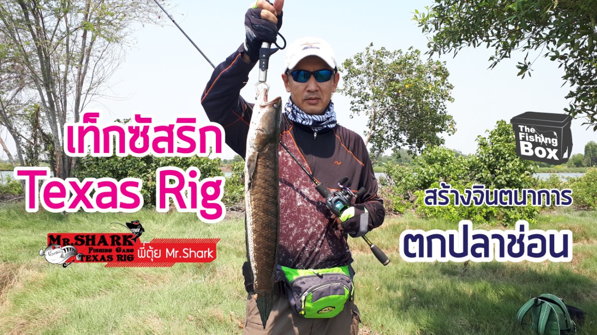 วิถีแห่ง Texas Rig #273 ชื่อนี้มีที่มา