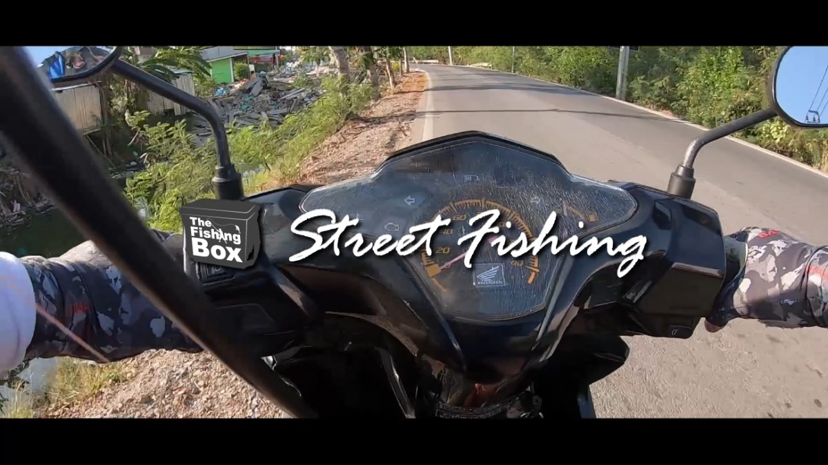 Street Fishing ตกปลาช่อนข้างทาง