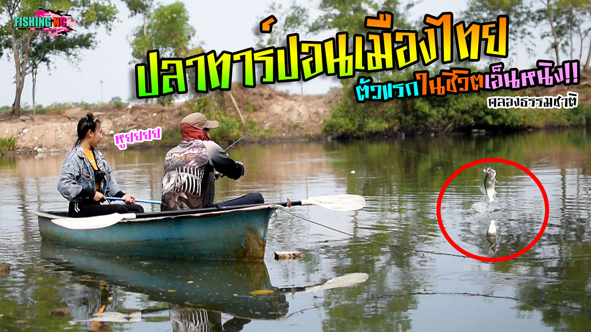 พายเรือตามหาปลาทาร์ปอนเมืองไทยตัวแรกของเอ็นหนิง มีแต่ไซส์ใหญ่ๆ