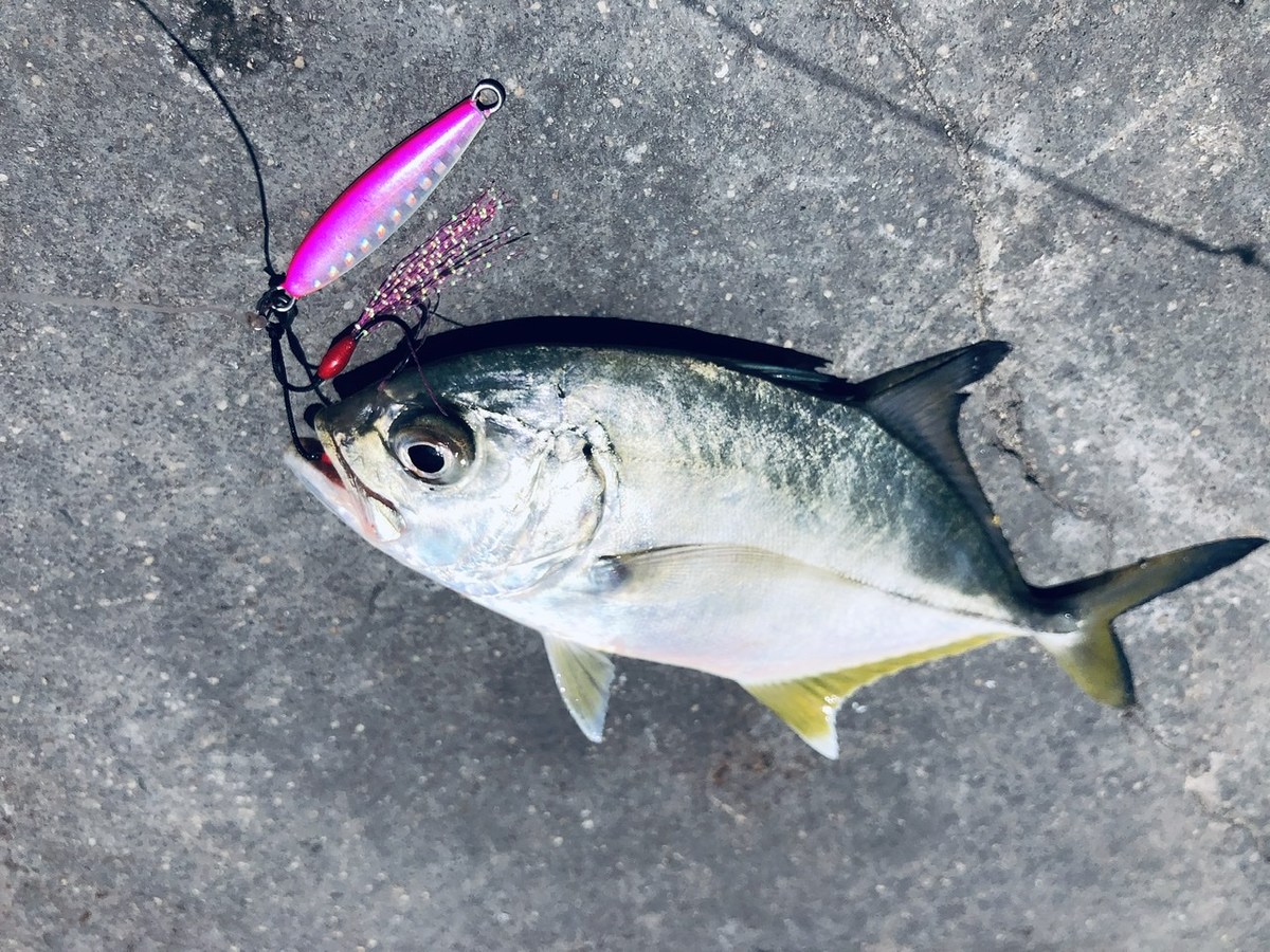 Micro jigging 