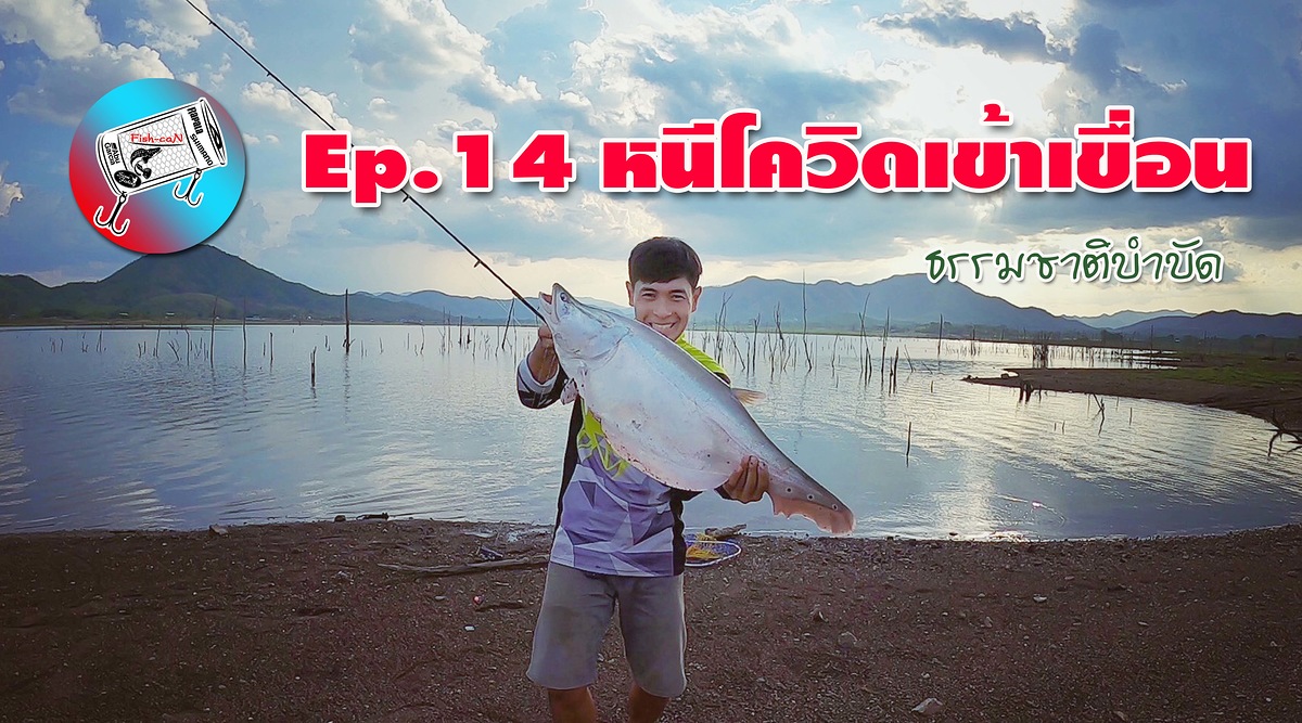 Ep. 14 หนีโควิดเข้าเขื่อน ธรรมชาติบำบัด ด่านช้างสุพรรณบุรี (บ้านตาหรั่ง Camping)