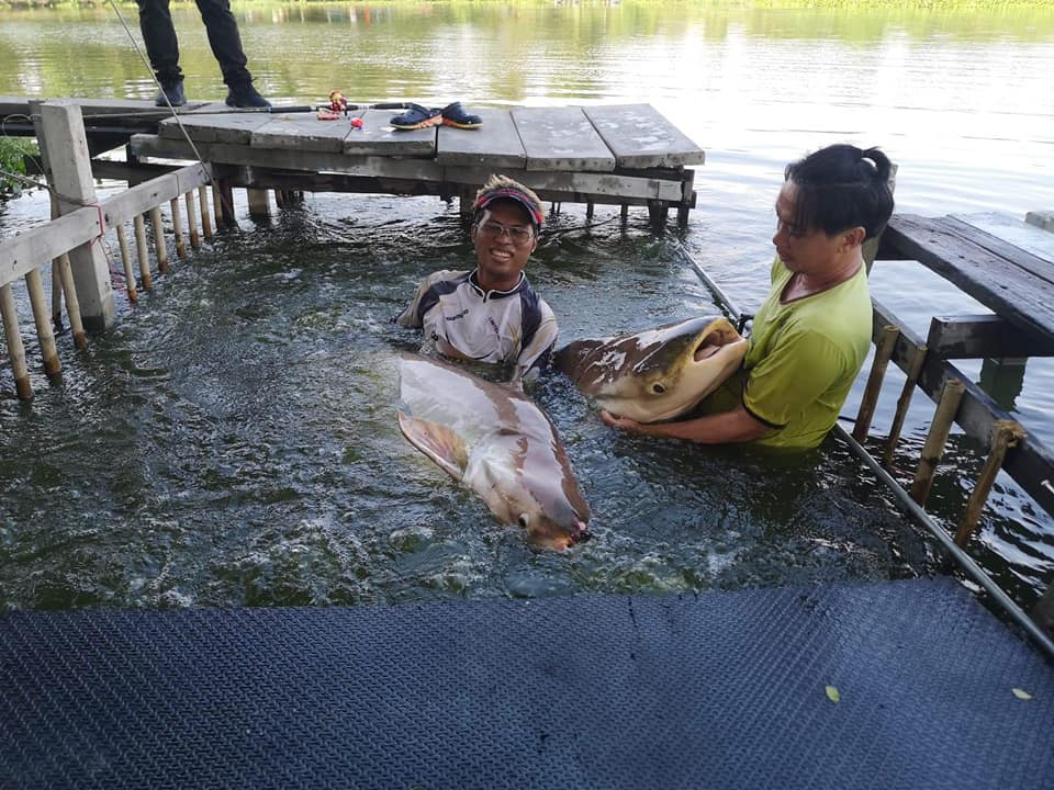 สองตัวซ้อนๆ  ติดๆกันเลย น้ำลายเหนียวเลย