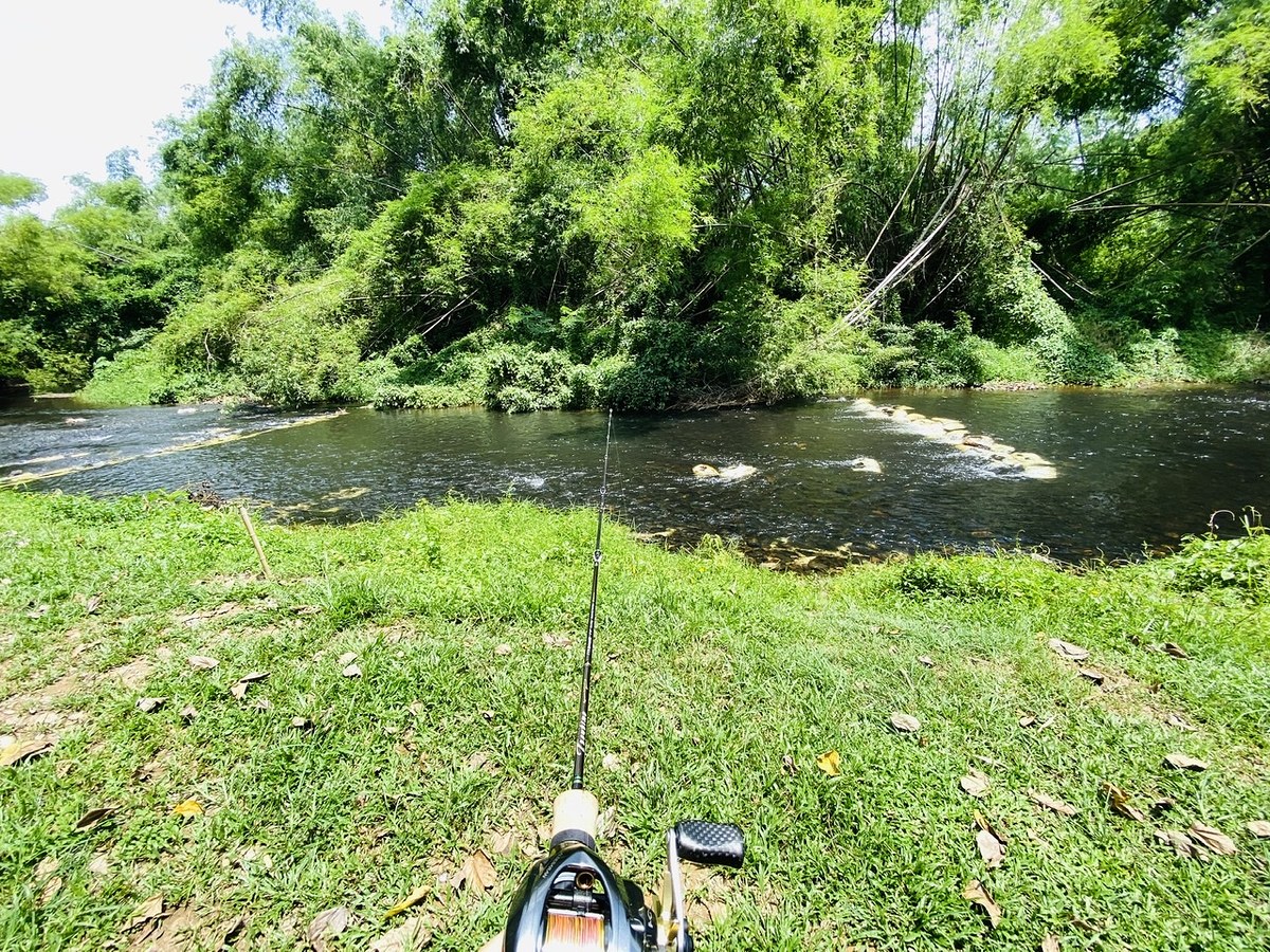 ย้ายหมายกันอีก ก็เปลี่ยนชุดหน่อย
รอก Shimano Aldebaran BFS + Avail 1.5 mm แต่งนิดๆหน่อยๆลุยต่อ :smi