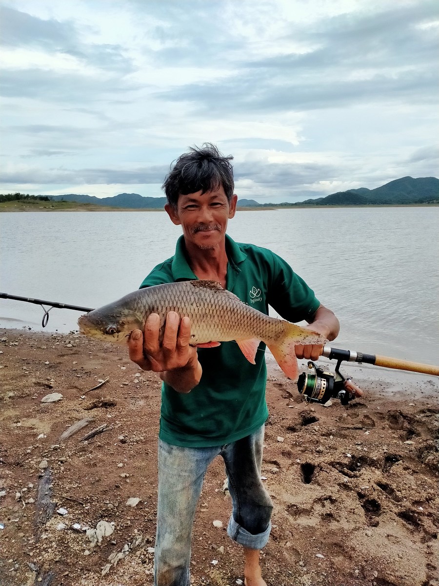 พูดแล้วก็หาว่าโม้....  .พักเดี๋ยว...
ลุงแหลมก็เอาขึ้นมาให้ดูว่ามันกินจริงๆ
แต่ทำไมผมเจอแต่กามังฯละ