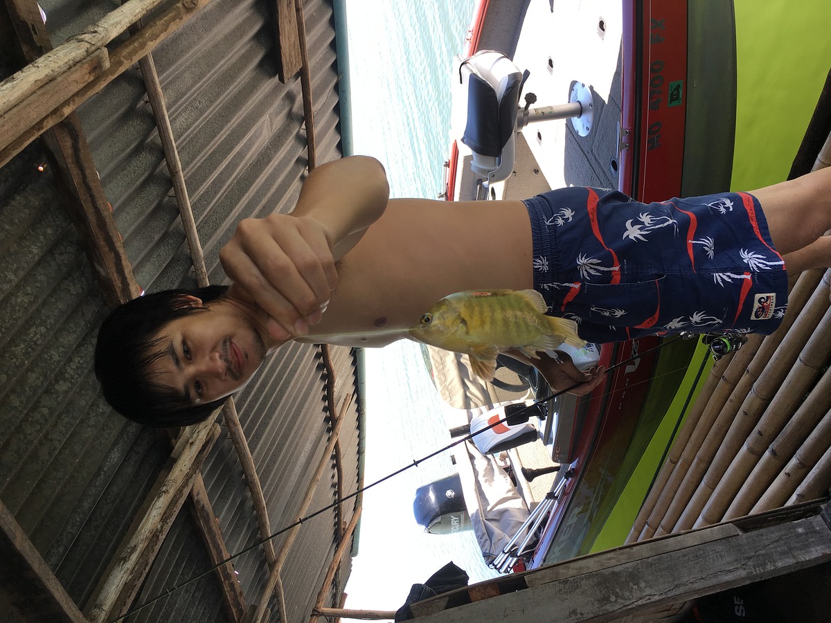 หลังจากนั้นเราก็เมามันกับการตกหมอ