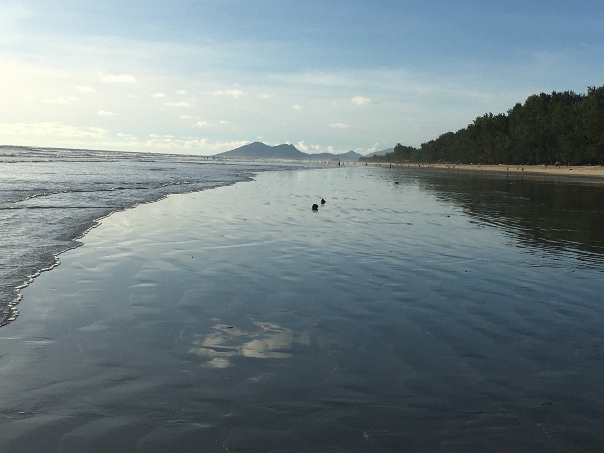 ออกมาถึง ริมหาดแล้ว มองทางกลับรีสอร์ท เอ้อ เราเดินมาได้ไกลขนาดนี้เลยเหรอเนี่ย ที่พักคือ สุดหาด ที่เห