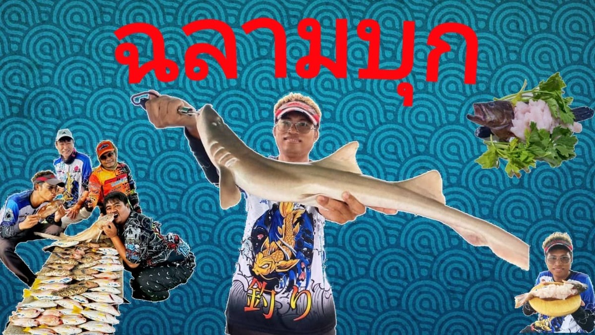 ฉลามบุกที่สัตหีบ (Shark attack at Sattahip)