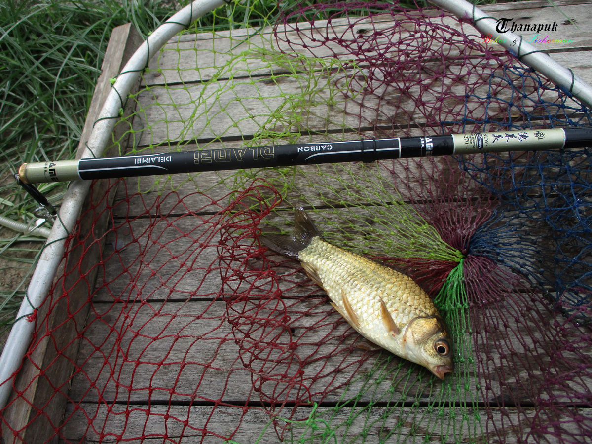 ครูเชียนคราฟ (Crucian Carp) หรือเฮราบูนะ(Herabuna) เป็นปลาขนาดย่อม ๆ ของญี่ปุ่น ซึ่งคนญี่ปุ่นก็ได้ปร