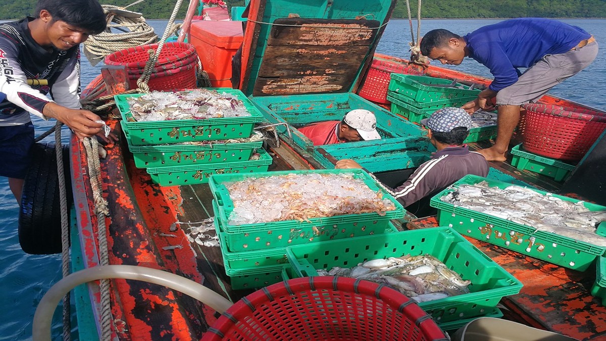 น้าน้าเรือประมง  เขาอยู๋คลองใหญ่บ้านเราด้วย มาลากอวนเเถวเกาะเเเล้วมาพักลบคลื่นลม ช่วงเช้าจนถึงเย็น ช