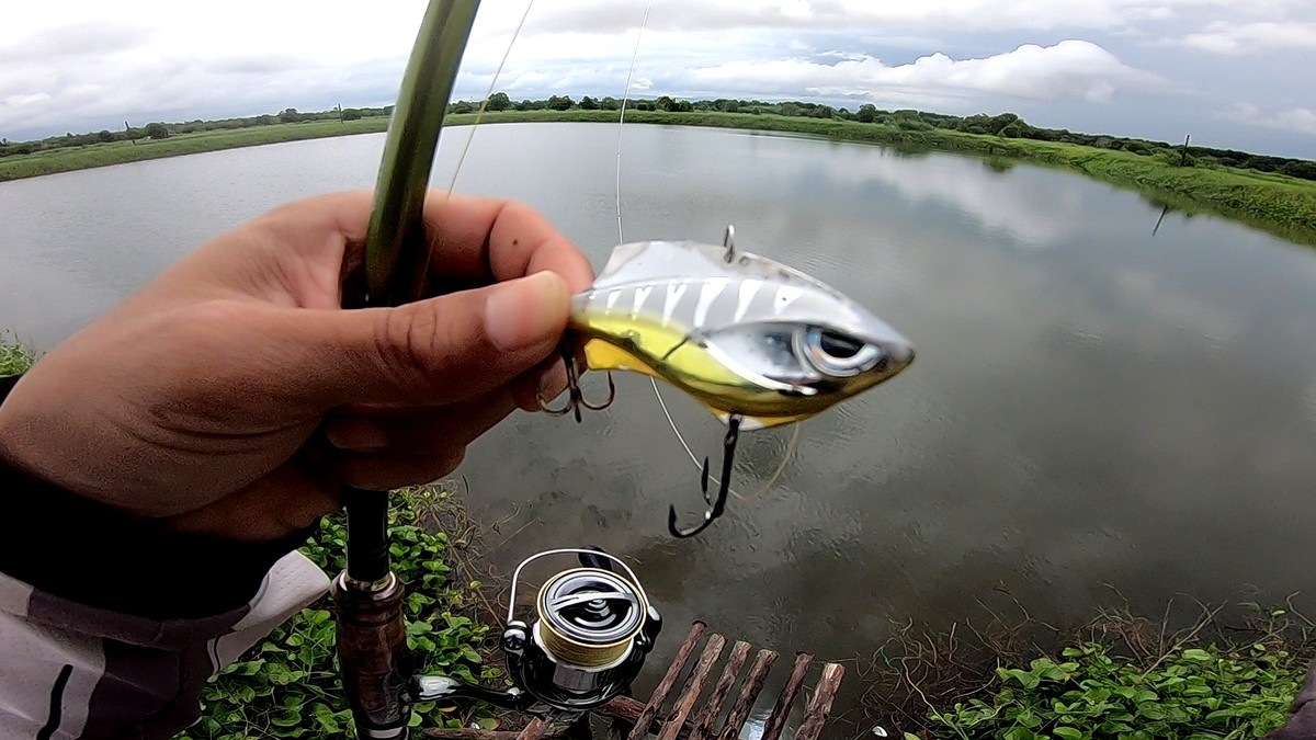 รุ่นใหม่​ Vibration​ Rapala​ v​ blade​