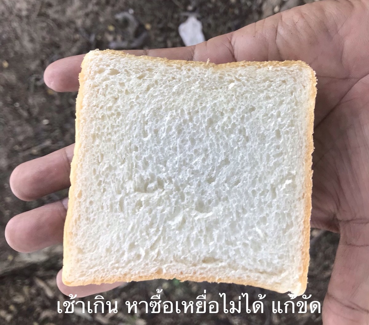 เช้าเกิน ร้านขายอุปกรณ์ตกปลายังไม่ดปิด