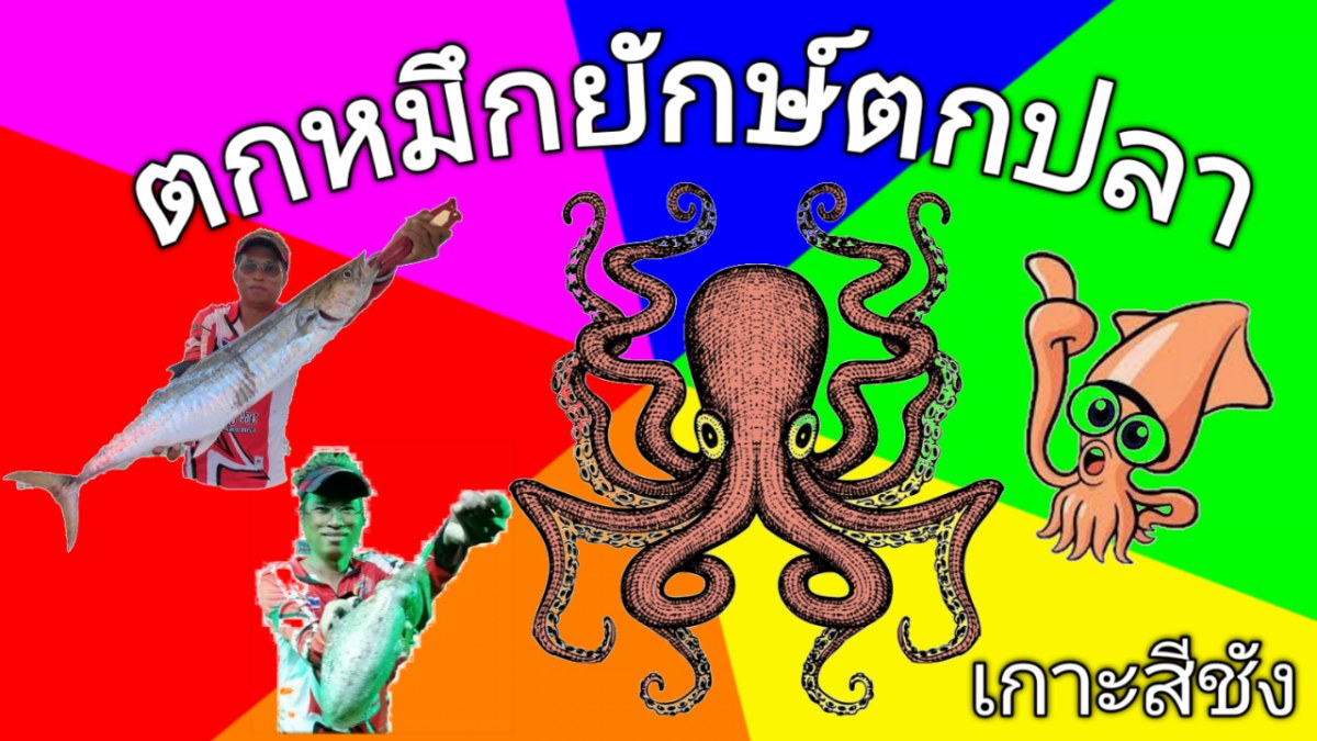 ตกหมึกยักษ์ตกปลา เกาะสีชัง