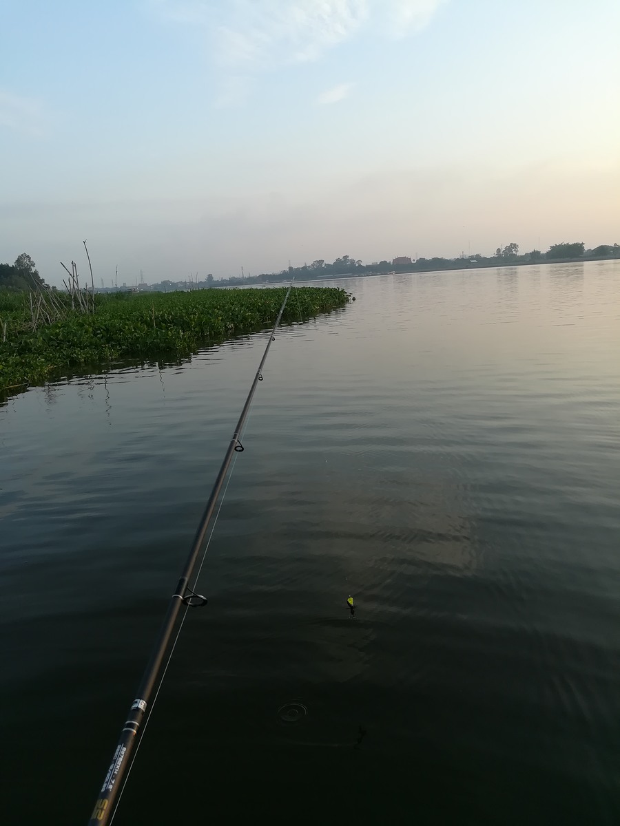 ลองเปลี่ยนมุมบ้าง สุดท้ายเงียบกริบไม่มีกัดเลย