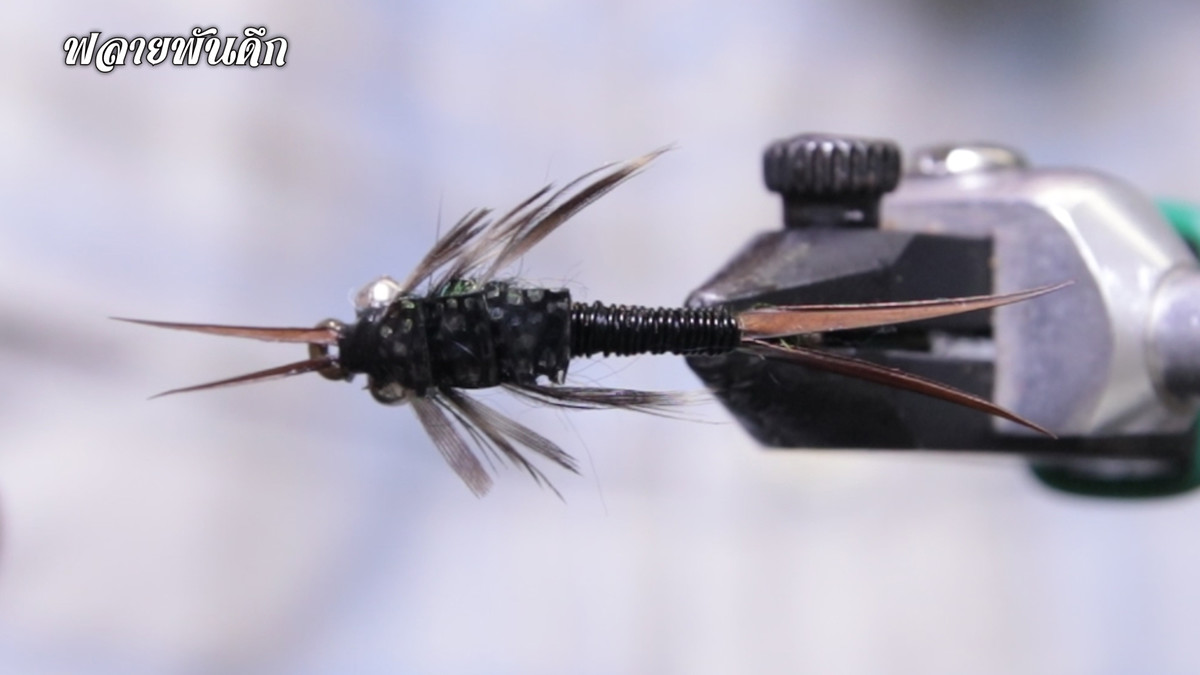 ทำเหยื่อฟลาย - Stonefly Nymph Fly Tying ทีละขั้นตอน [ ฟลายพันดึก ]