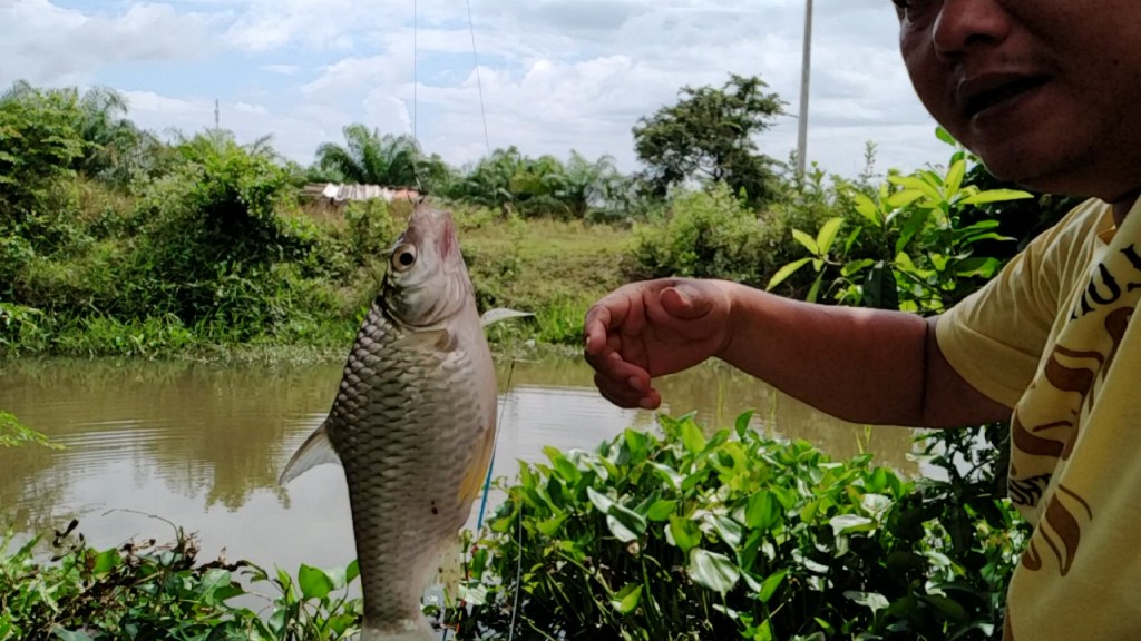 ตัวใหญ่ๆหายากเหลือเกิน