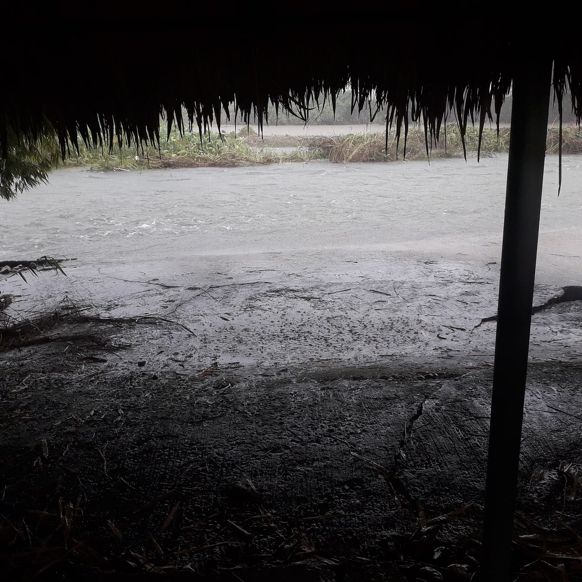 ต้องอาศัย ซุ้มของ รีสอด นั่งหลบฝนก่