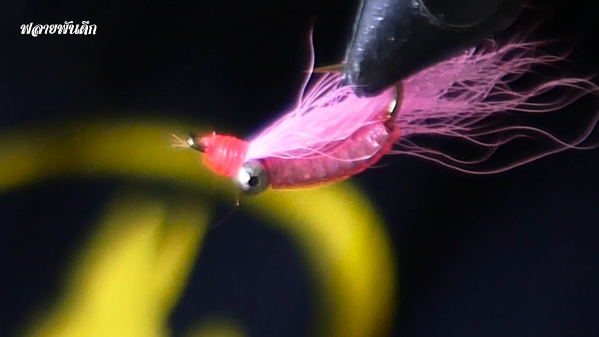 ทำเหยื่อฟลาย - crazy charlie fly tying ทีละขั้นตอน [ ฟลายพันดึก ]