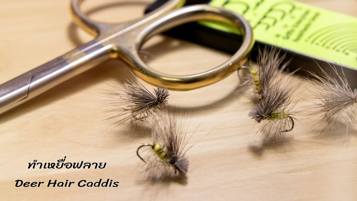 ทำเหยื่อฟลาย - Deer Hair Caddis Fly Tying ทีละขั้นตอน [ ฟลายพันดึก ]