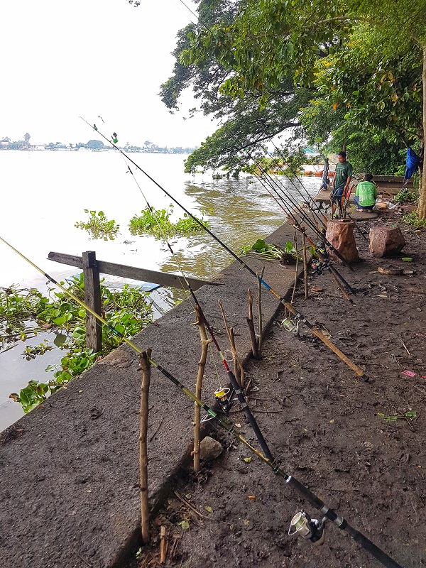 สถานที่อยู่เลยวัดถั่วทอง ปทุมธานีไปสักหน่อยจะมีทางปูนแยกเข้าไปริมแม่น้ำได้