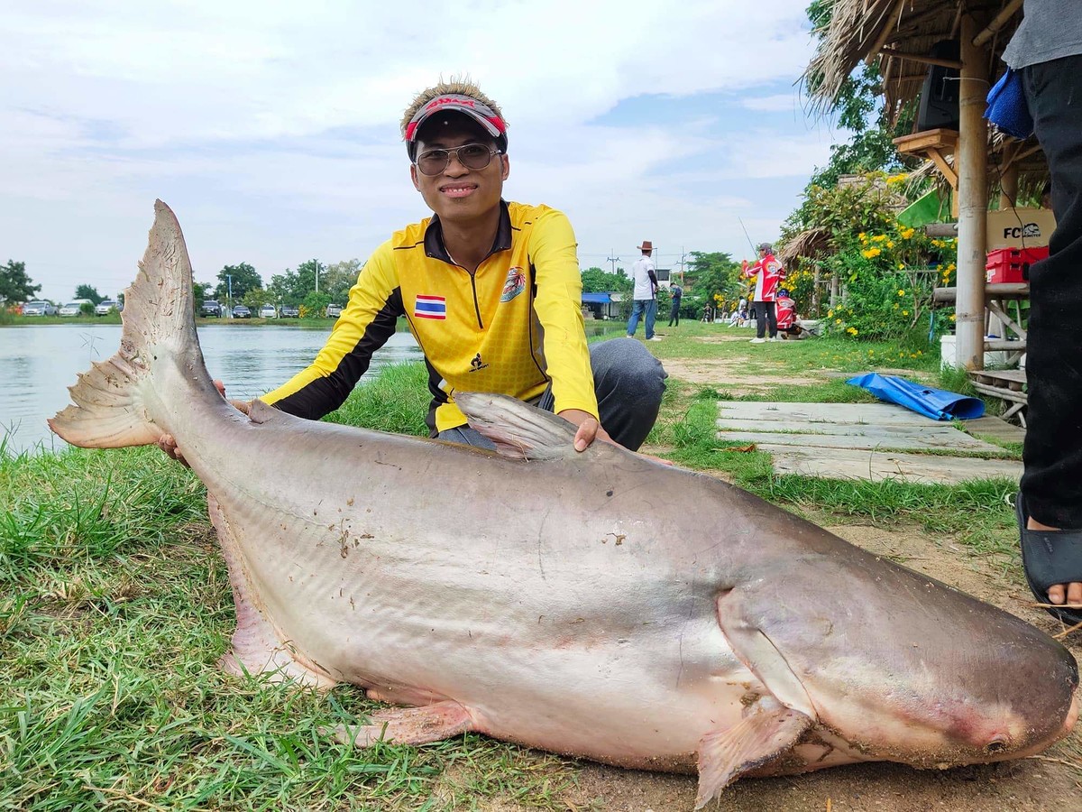 เทคนิคการตกปลาบึกบ่อ JJS Fishing Park พานทอง ชลบุรี 