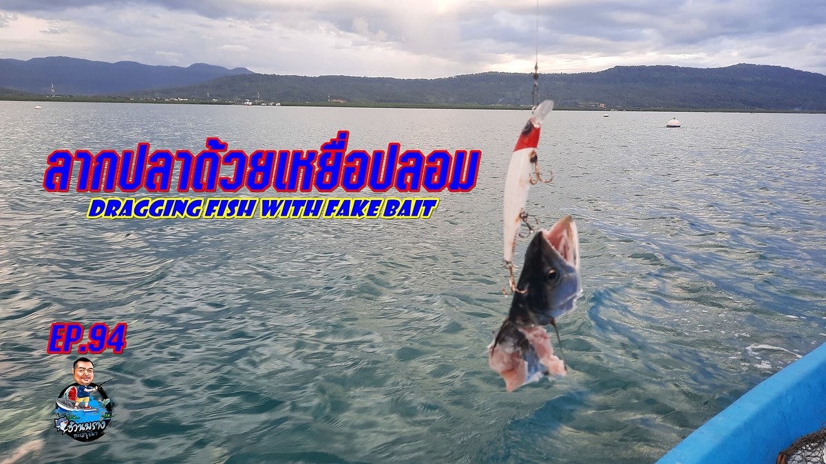 Dragging fish with fake bait ลากปลาด้วยเหยื่อปลอม เล่นขาดท่อนเลย