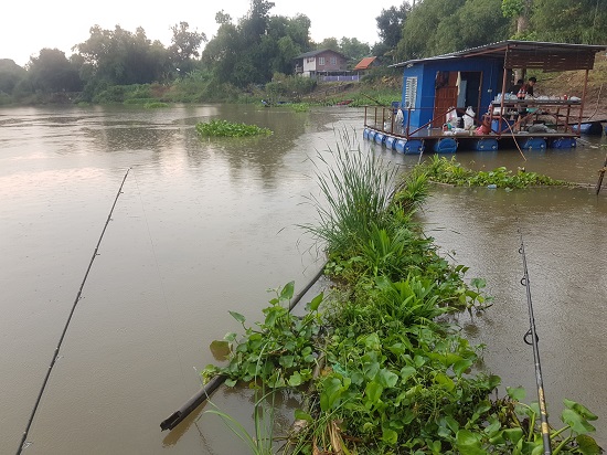 พอเช้าอีกวัน ฝนดันตกเฉย ชุ่มฉ่ำกันไปครับ