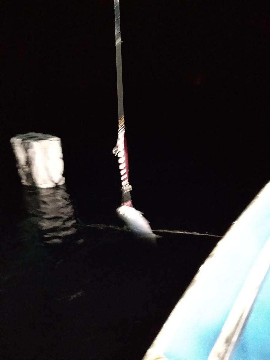 แพ็กปลาลงใต้เรือหลายรอบแระ วิ่งเรือกลับมาเกาะซั้งอีกคืน
จะได้ปลารัยกันบ้างตามดูคับ