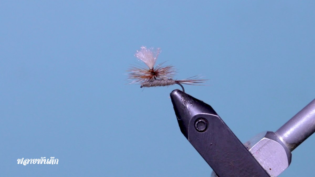 ทำเหยื่อฟลาย - Parachute Adam Fly Tying [ ฟลายพันดึก ]