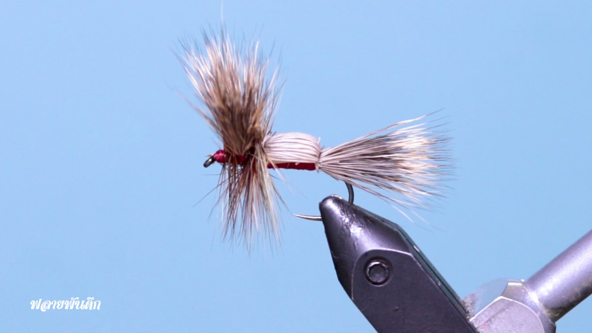 ทำเหยื่อฟลาย - Humpy Fly tying [ ฟลายพันดึก ]