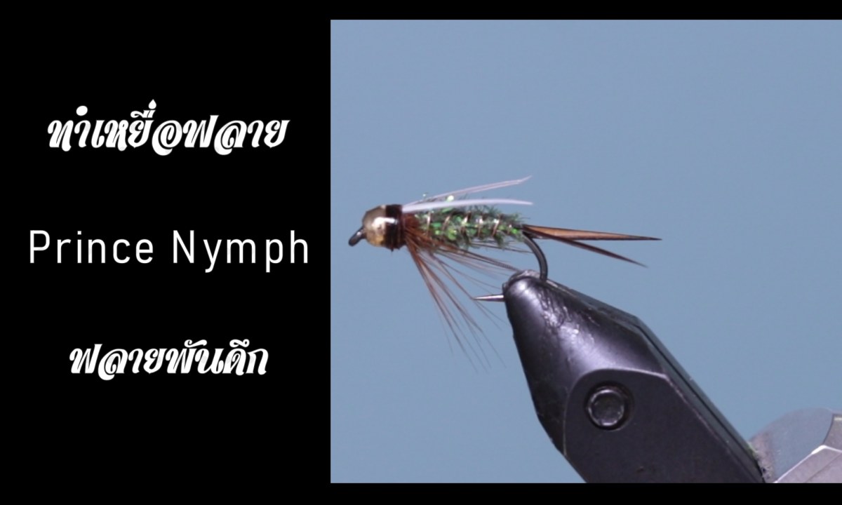 ทำเหยื่อฟลาย - Prince Nymph Fly Tying [ ฟลายพันดึก ]