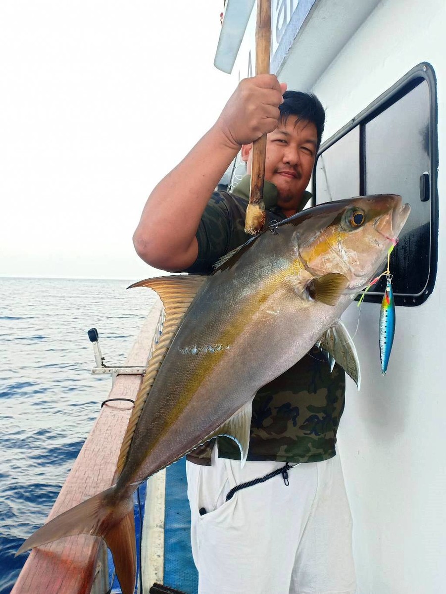 Amberjack
