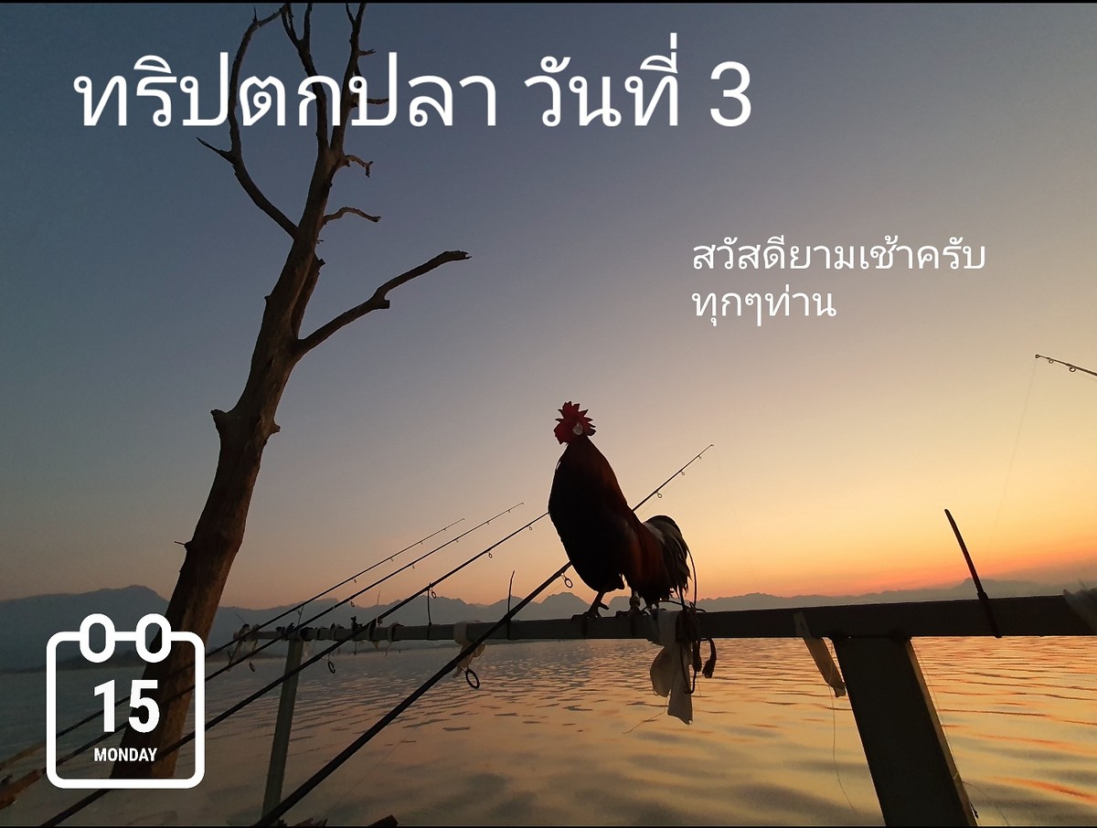  [b]เจ้าวันที่สาม มี 1 แต้ม ถือว่าน้อยมากๆครับ [/b] :love: