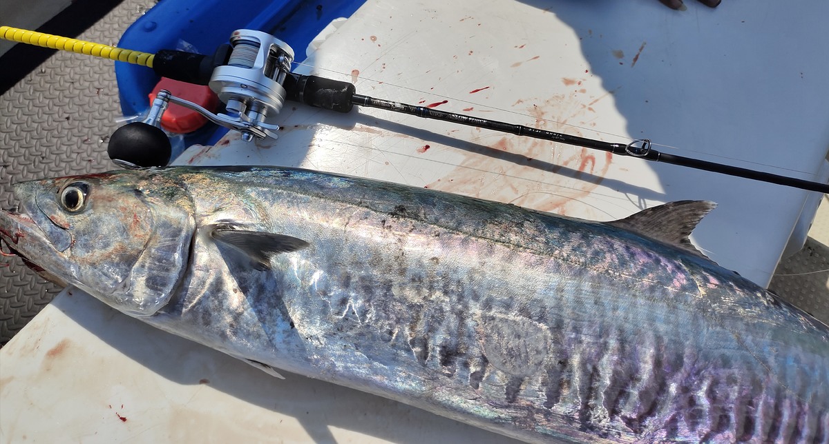 ไซส์สวยเลยตัวนี้ :grin:

king mackerel 6.8 kg.

Reel : Shimano O