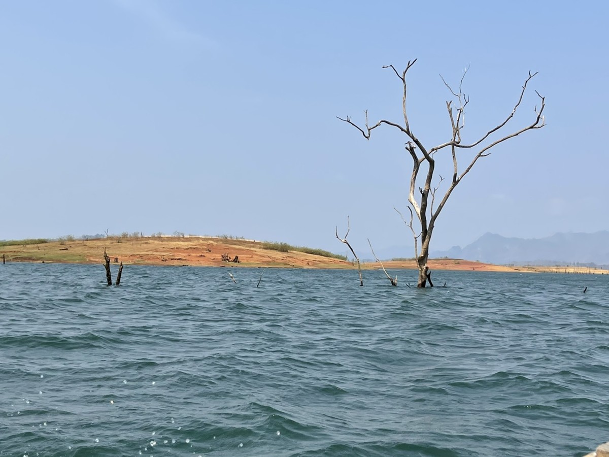  [b]ผมเก็บภาพ..ที่เรือวิ่งผ่าน...แต่ล่ะที่ให้ชม แล้วดูหมายเก่าๆที่เคยอยู่ [/b] [i]เก็บข้อมูล..หมาย ต