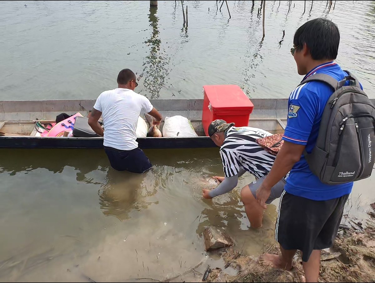  [b]กำลังดูว่าตัวไหนรอด หรือไท่รอด เพราะเด๋วต้องพายเรือเข้าหมายน้องอีก...น้องจะกลับพรุ่งนี้ครับ[/b] 