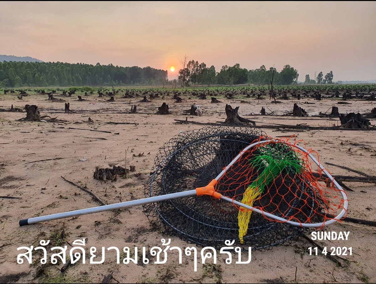  [b]ครึ่งวันคงจะเก็บของ..รอลุ้นอีกนิด[